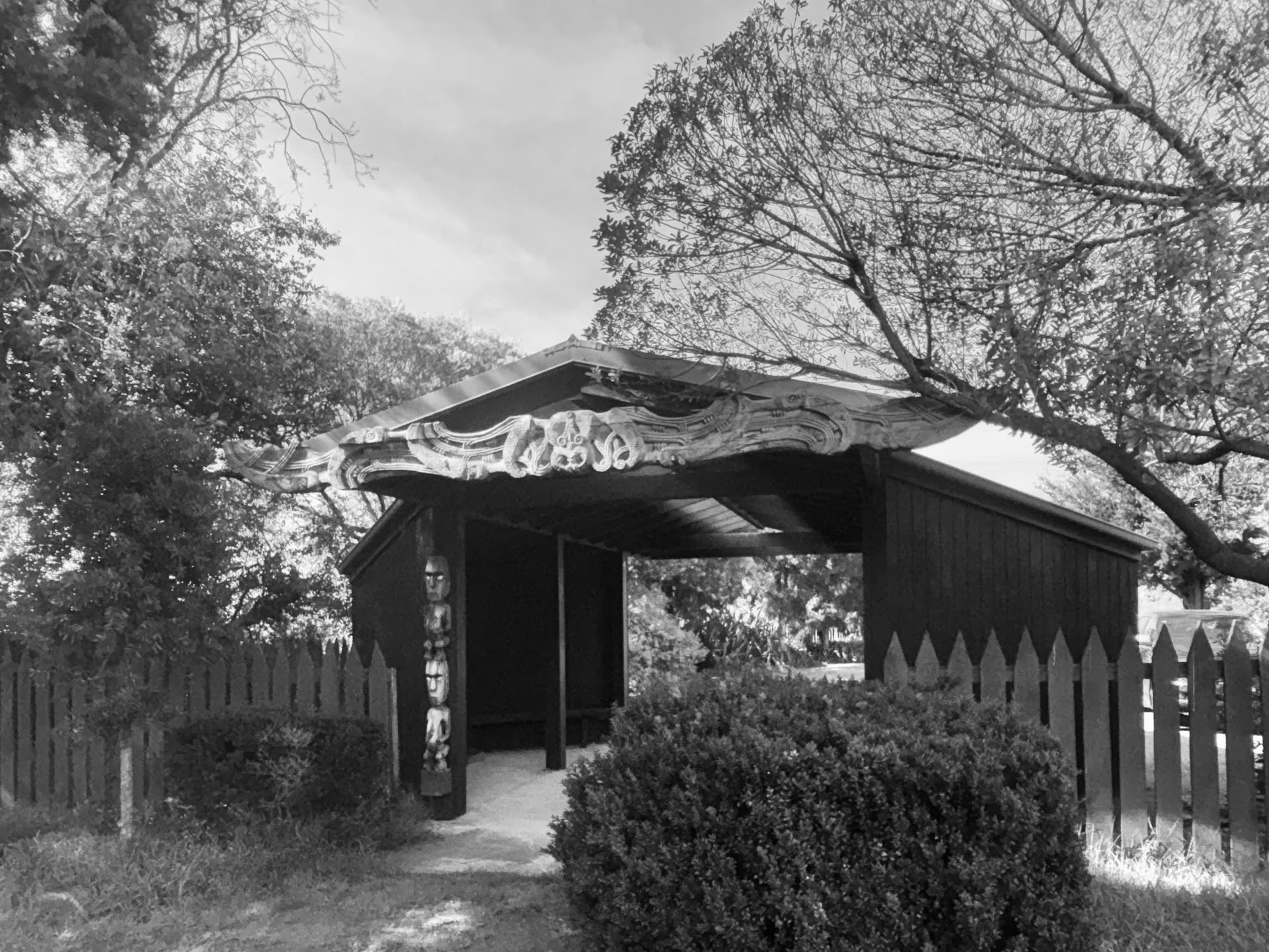 The carved waharoa at the Aho Farms entrance in black and white — whakairo along its bargeboards, a tekoteko at the post, framed by trees and the palisade fence